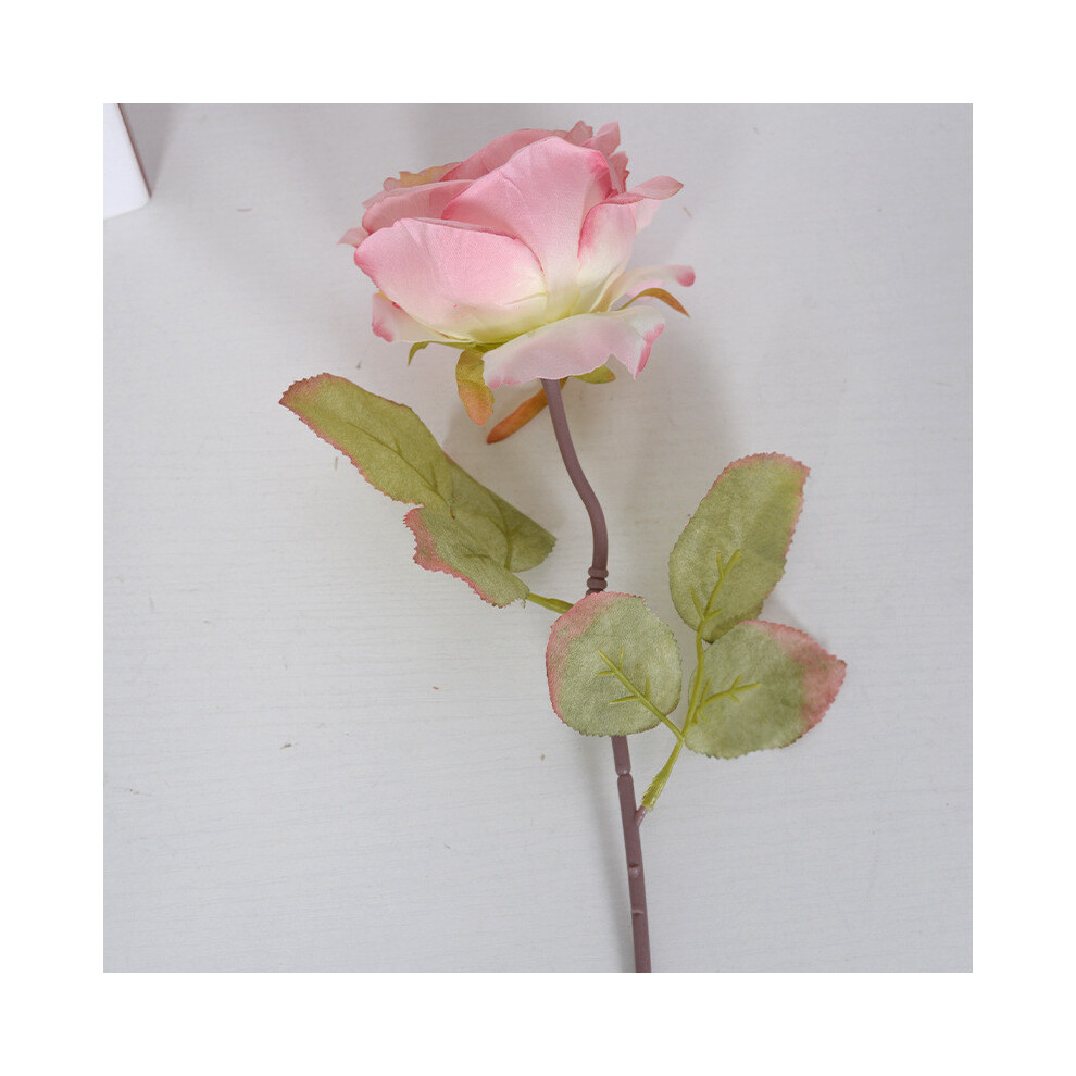 (Pink) Artificial Silk Rose Flower Material Outdoor Decor Photography And Backdrops-image-OPC-PHD5DGX-NEW