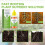 Plant Rapid Rooting Nutrient Solution Growth Promoter 3