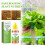 Plant Rapid Rooting Nutrient Solution Growth Promoter 2
