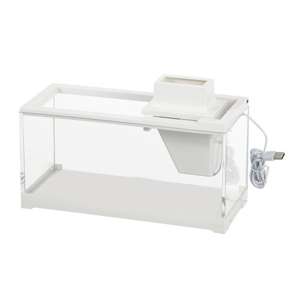 Typecat Desktop Aquarium Fish Tank With Led Lighting Silent Filter Feeding For Office And Home