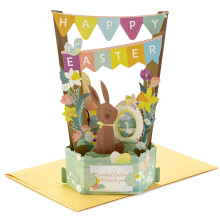 Hallmark Paper Wonder toonbare pop-up paaskaart (paashaas)