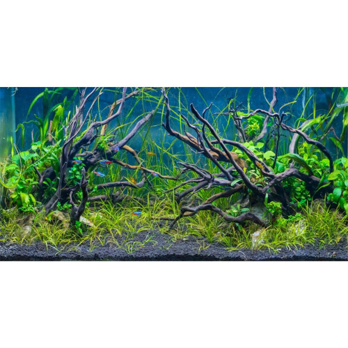 Swert 60x24 pollici di serbato