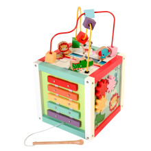 Fisher Price 181A Wooden 5-in-1 Activity Cube Toddler Educational Centre with Bead Maze Sorting Games and Xylophone Age 18 Months + Multicolour 43