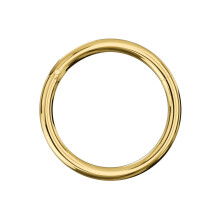 (Gold, 10mm) 925 Sterling Silver Classic Hinged Segment Clicker Ring