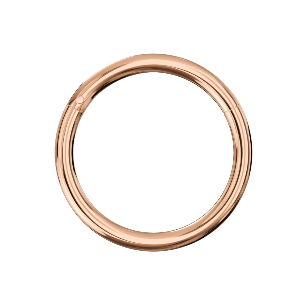 (Rose Gold, 12mm) 925 Sterling Silver Classic Hinged Segment Clicker Ring-image-OPC-PHDCXPH-NEW