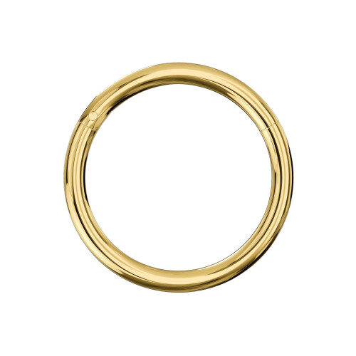 (Gold, 10mm) 925 Sterling Silver Classic Hinged Segment Clicker Ring 2