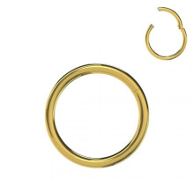 (Gold, 5mm) 316L Surgical Steel 18G Hinged Segment Clicker Ring