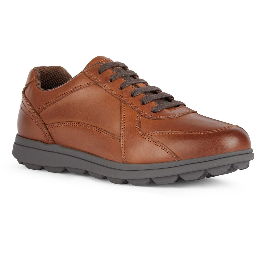 Geox (, 9 (Adults')) U Spherica Ec12 Leather Bovine Full Grain Men's Cognac Trainers Brown