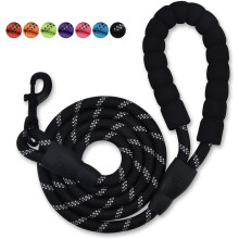 Nylon Dog Leash with Padded Handle, 5 ft Length Dog Leash for Daily Walking and Training,Fit for Medium Large Dogs