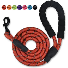 Nylon Dog Leash with Padded Handle, 5 ft Length Dog Leash for Daily Walking and Training,Fit for Medium Large Dogs