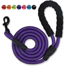 Nylon Dog Leash with Padded Handle, 5 ft Length Dog Leash for Daily Walking and Training,Fit for Medium Large Dogs