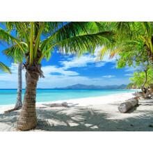 8x6ft Tropical Summer Beach Photography Backdrops Hawaiian Luau Party Blue Sky Sea Background for Outdoor Photo