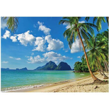 8x6ft Summer Tropical Beach Backdrop Seaside Island Palm Trees Photography Background for Picture Blue Sea Sky Sunshine Luau Themed
