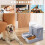 Automatic Cat and Dog Feeder and Cat Water Dispenser, 3.8L 5