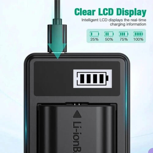 Charger & 2X Batteries Panasonic DMC-FX3 DMC-FX8 DMC-FX9 DMC-FX10 DMC-FX12 2