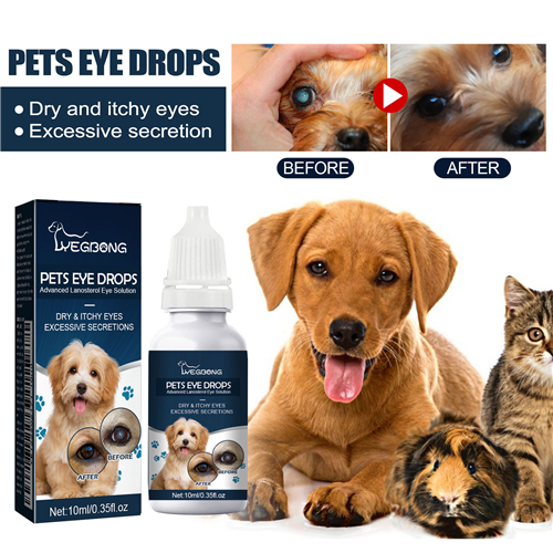 Dog Eye Drops For Dry Eyes 15% Advanced Lanosterol Eye Solution 1
