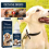 Dog Eye Drops For Dry Eyes 15% Advanced Lanosterol Eye Solution 6