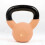 Myga 6kgIron Kettlebell 1