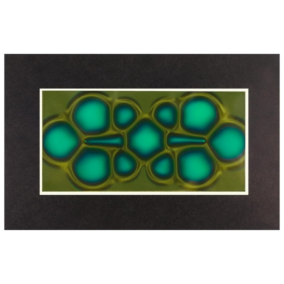 Magnetic Viewing Film, 2Inchx 4Inch Field Viewer For Scientific Projects,Reusable And Automatic Recovery 4852966790640