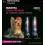 Shampoo Hidratta + Masque Hydratant 1
