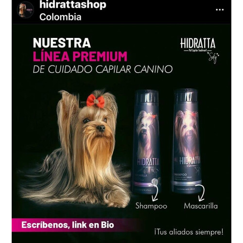 Shampoo Hidratta + Masque Hydratant