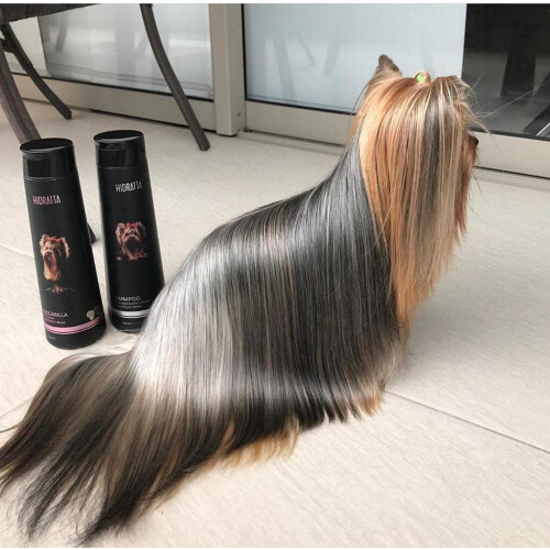 Shampoo Hidratta + Masque Hydratant 2