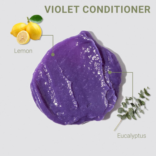 Loma Haarverzorging Violet Conditioner 3 Fl Oz 1