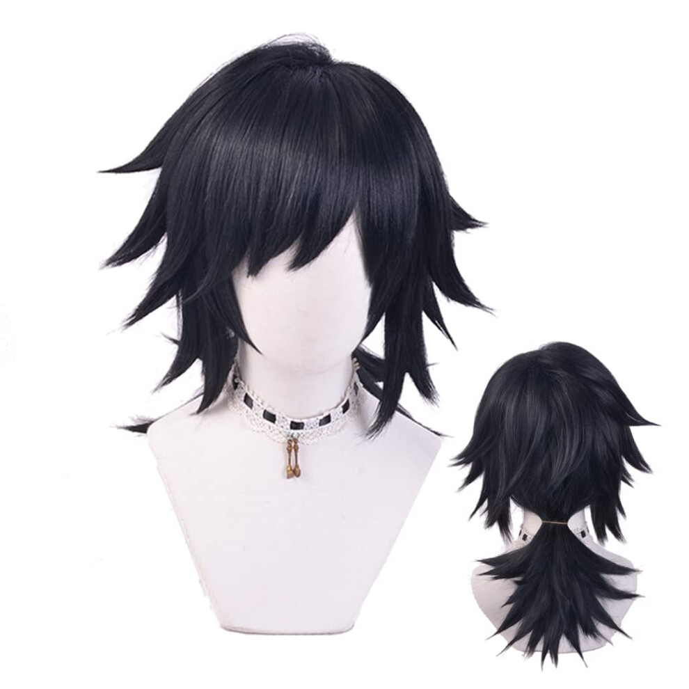 Sunxxcos High Temperature Fiber Men And Women For Male Party Halloween Kimetsu No Yaiba Short Cosplay Wigs Synthetic (Tomioka Giyuu)