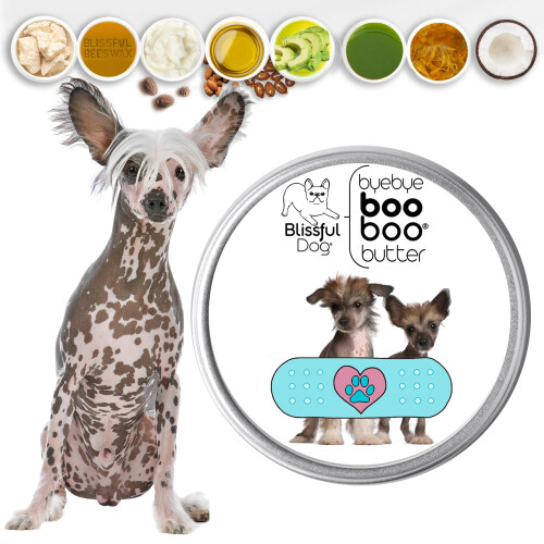 Le chien bat chinois boo beurre 2 oz 1