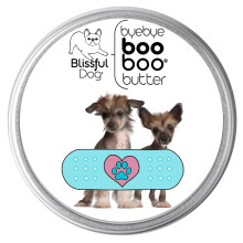 Manteiga Boo com crista chinesa The Blissful Dog 1 ona