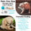 De Blissful Dog Chinese Crested Boo Boter 1 oz 3