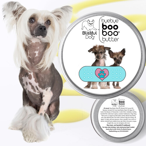 De Blissful Dog Chinese Crested Boo Boter 1 oz 1