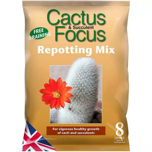 Cactus & Succulent Focus Repotting Mix. 3 or 8 litre