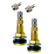 Valves de pneu TR618A, valves de pneu sans chambre à air pour tracteur, roues agricoles industrielles