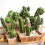 8pcs Simulated Cactus Succulent Plants Adornments for Home (Assorted Color) 4