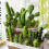 8pcs Simulated Cactus Succulent Plants Adornments for Home (Assorted Color) 3
