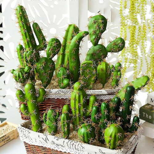 8pcs Simulated Cactus Succulent Plants Adornments for Home (Assorted Color) 2
