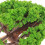 2pcs Miniature Landscape Tree Toy Tree Sand Table Decoration Tree Ornament 4