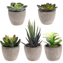 Yardwe 5PCS Retro Artificial Succulents Simulation Green Plants Creative Imitation Potted Bonsai Decor for Home