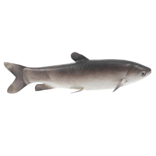 1pc Simulation Fish Ornament Desktop Adornment Artificial Fish Plaything 1