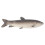 1pc Simulation Fish Ornament Desktop Adornment Artificial Fish Plaything 3