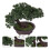 Artificial Plant Decor Simulation Pine Potted Ornament Plastic Plant Bonsai 5