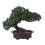 Artificial Plant Decor Simulation Pine Potted Ornament Plastic Plant Bonsai 3