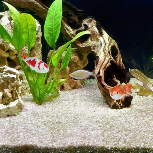 3Pcs Floating Aquatic Creature Decors Ceramic Floating Decors for Fish Tank 2