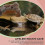 Turtle Basking Sunning Platform Reptiles Cave Shape Toy Tortoise Climbing Platform 3