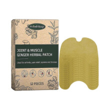 Woodsleep Ginger-Wormwood Joint Stick Knee Joint Muscle Body Care Patch