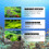 OUHOE algaecide algae removal aquarium algae removal agent fish tank algae removal agent remove green water |  | 3