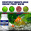 OUHOE algaecide algae removal aquarium algae removal agent fish tank algae removal agent remove green water |  | 5
