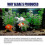 OUHOE algaecide algae removal aquarium algae removal agent fish tank algae removal agent remove green water |  | 2