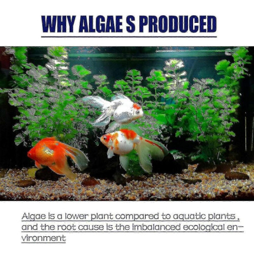 OUHOE algaecide algae removal aquarium algae removal agent fish tank algae removal agent remove green water |  | 1